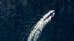Real Underwater World Events Underline RN Atlantic Bastion Underwater Warfare Requirement